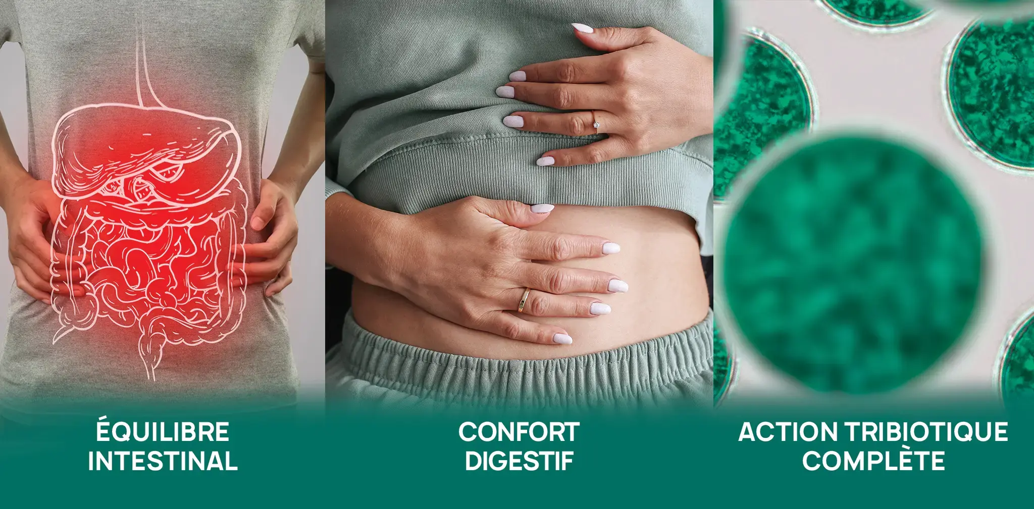 EF DIGEST 3 BIOTICS