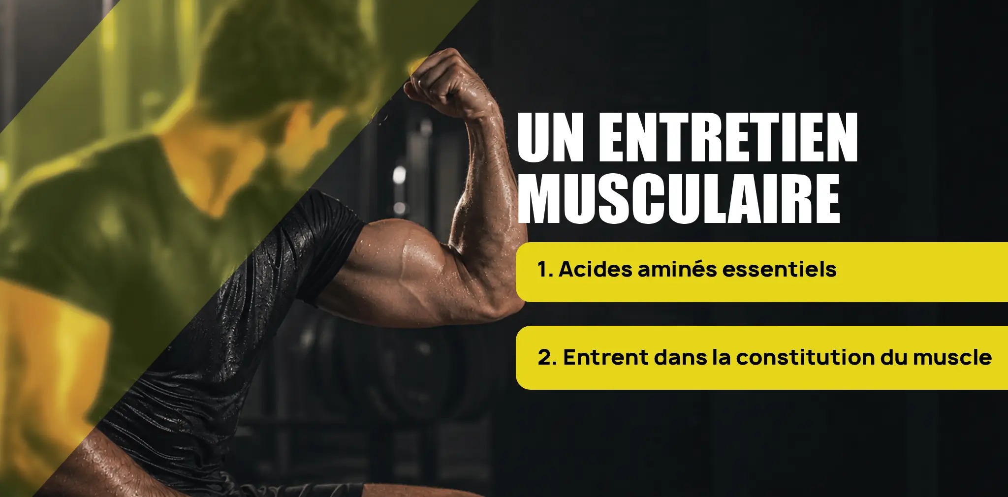 EF BCAA OPTIMIZ 2.1.1