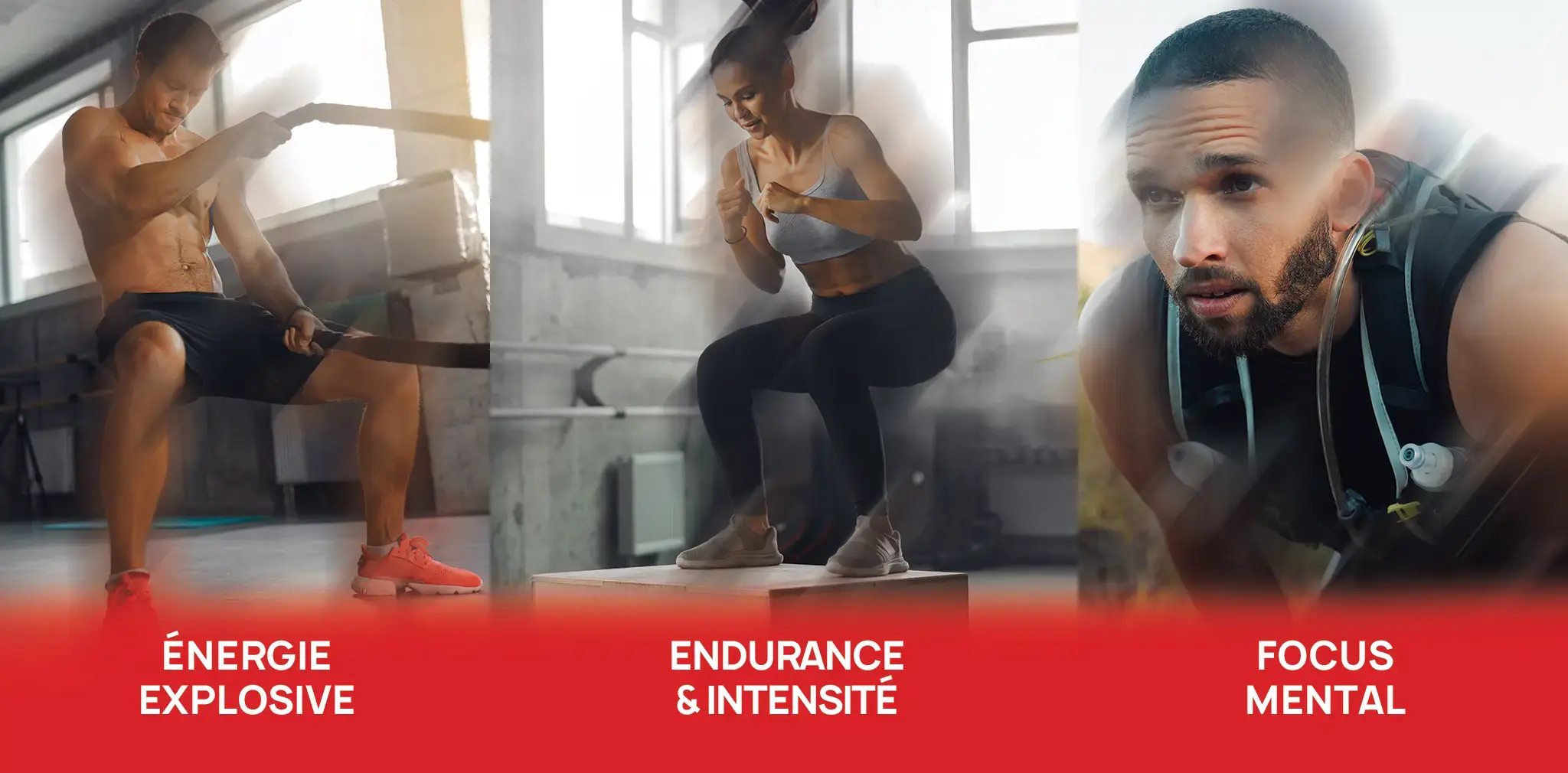 EF BORN OF RAGE ERIC FAVRE