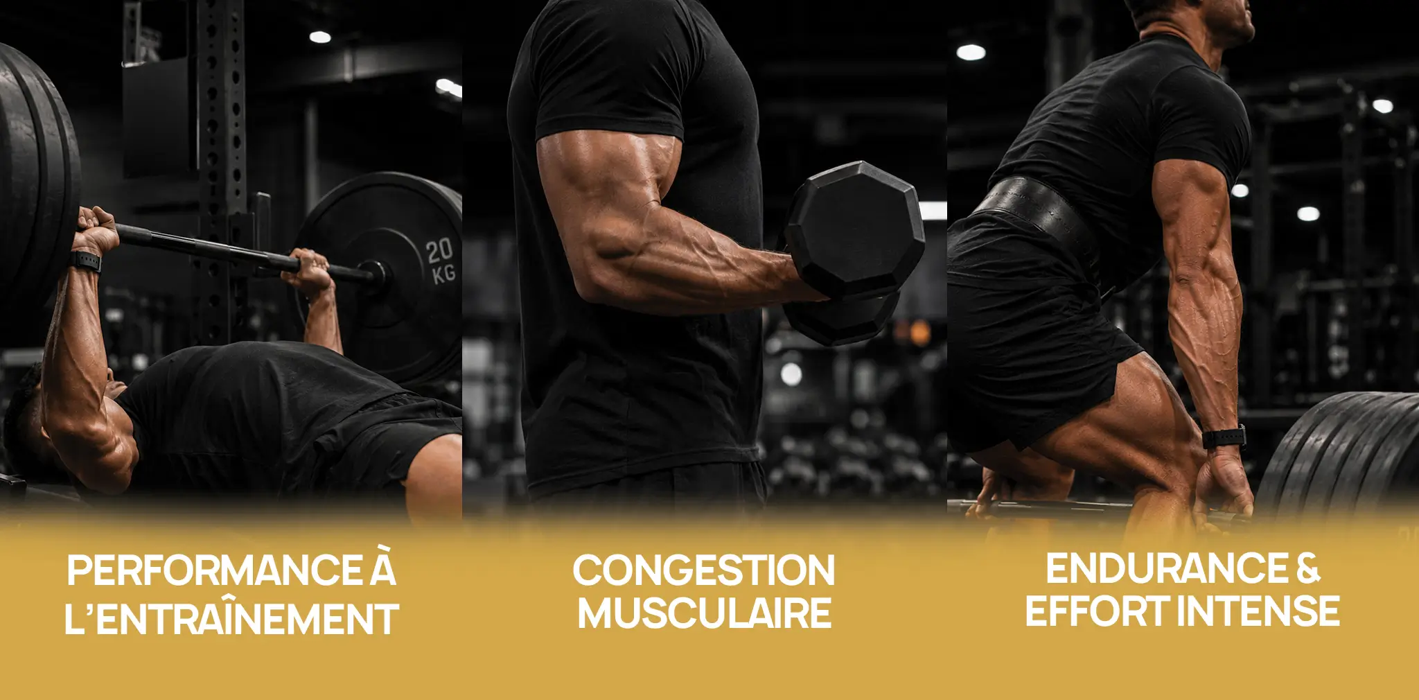 EF CITRULLINE