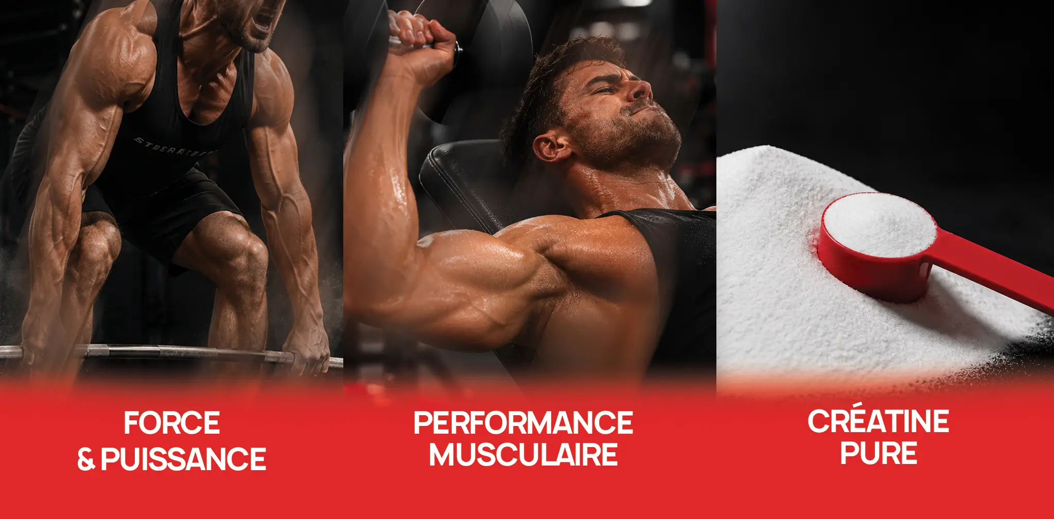 EF CREATINE PRO