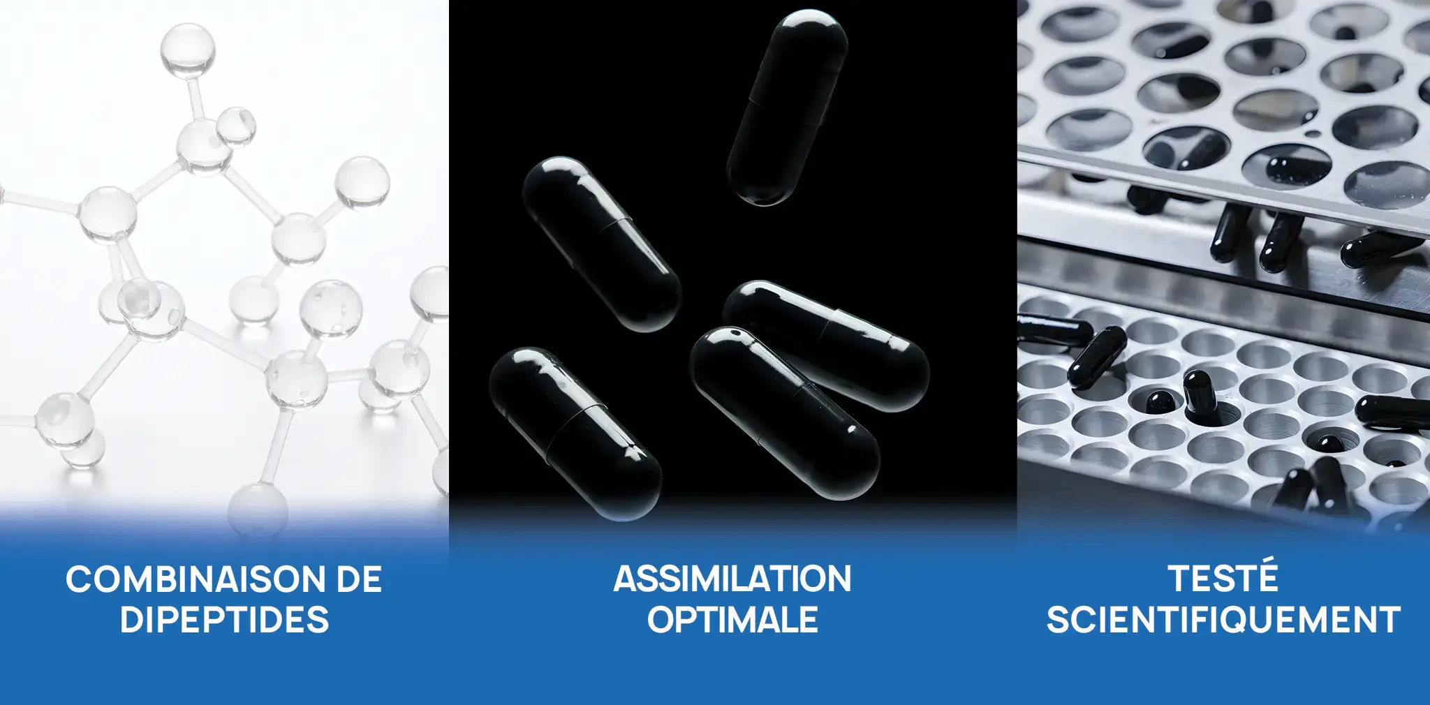 IRON ULTRA FAT BURNER ERIC FAVRE