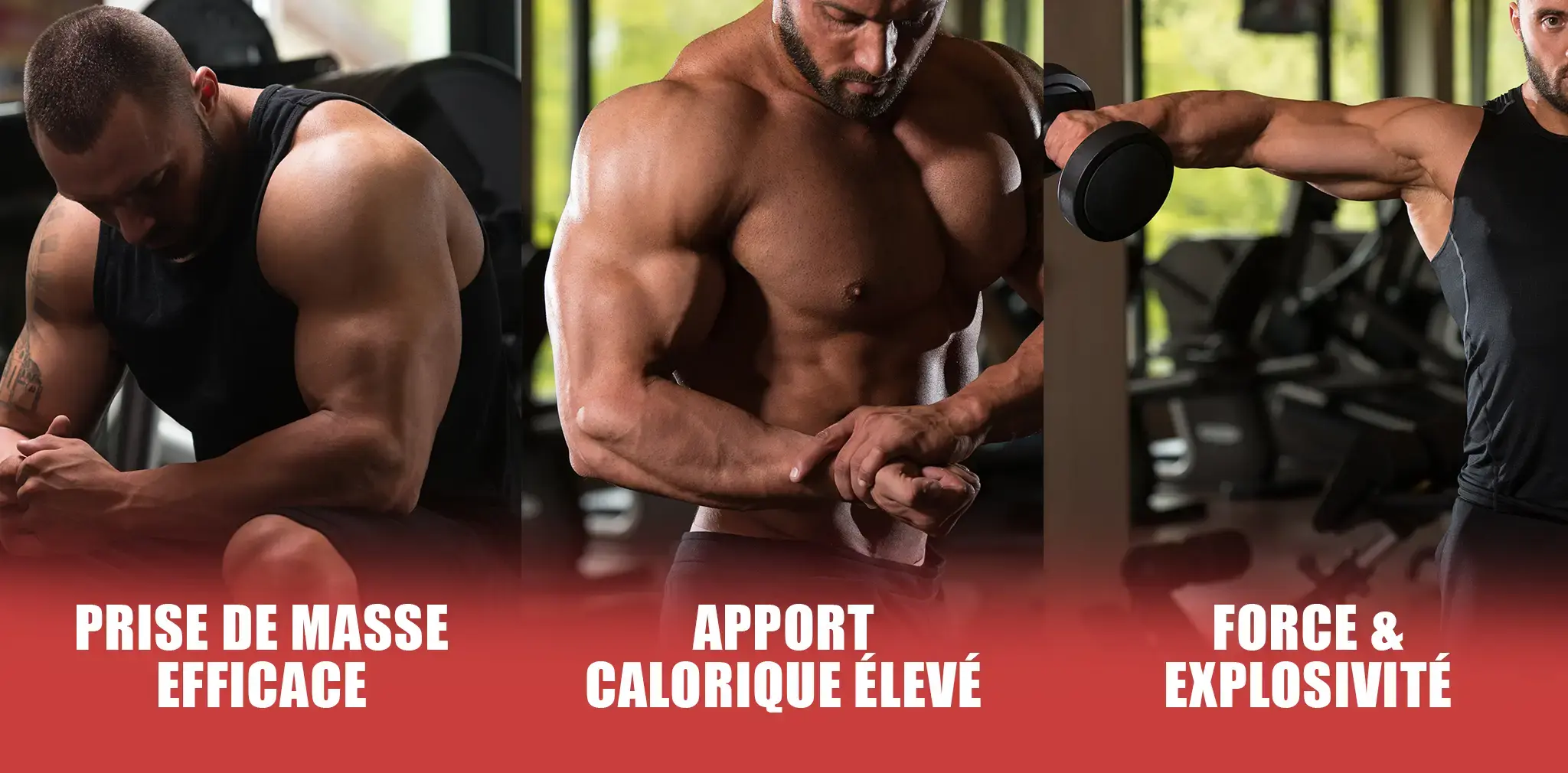 EF MASS GAINER CREATINE ERIC FAVRE
