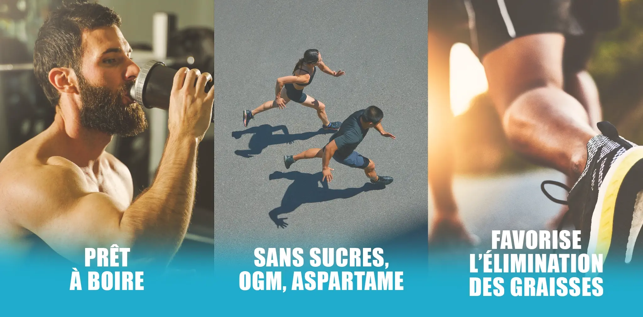 ERIC FAVRE L LCARNITINE PRO ZERO