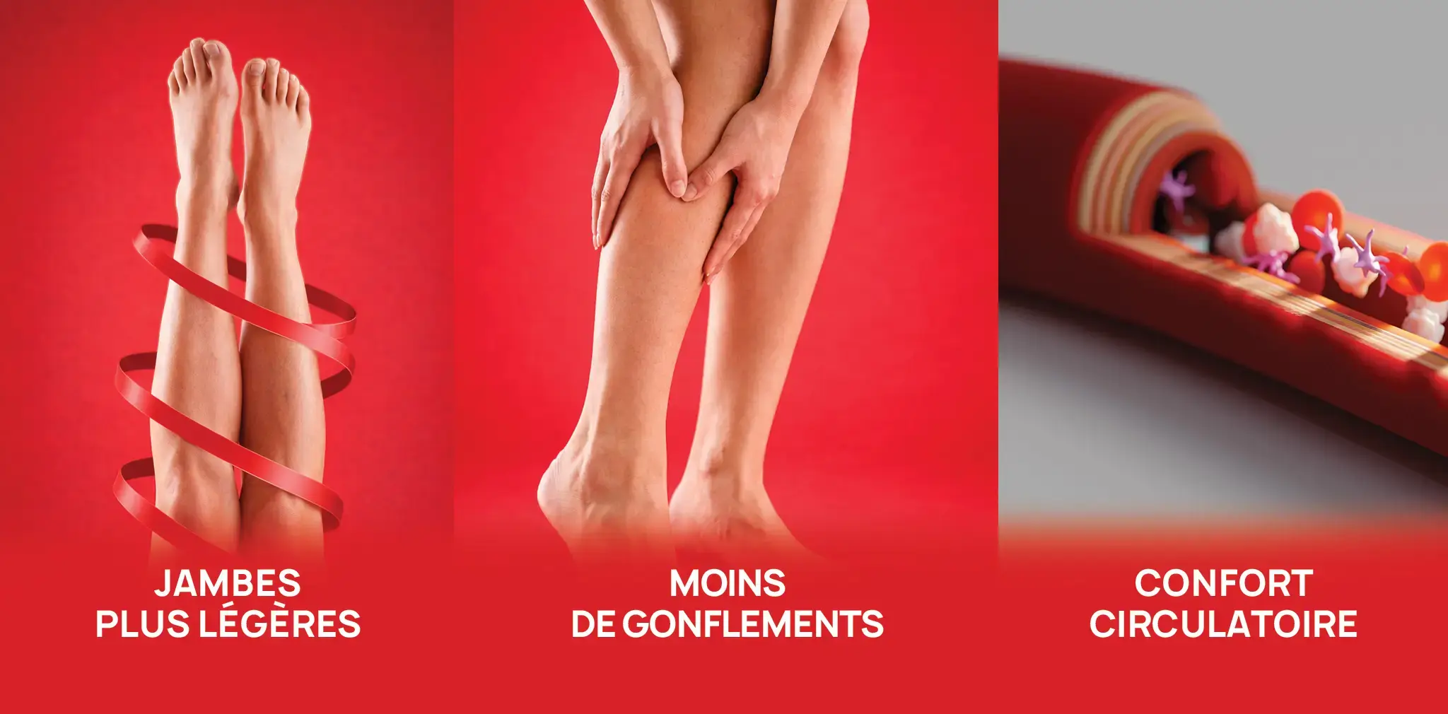 EF VEINAXYNE ERIC FAVRE