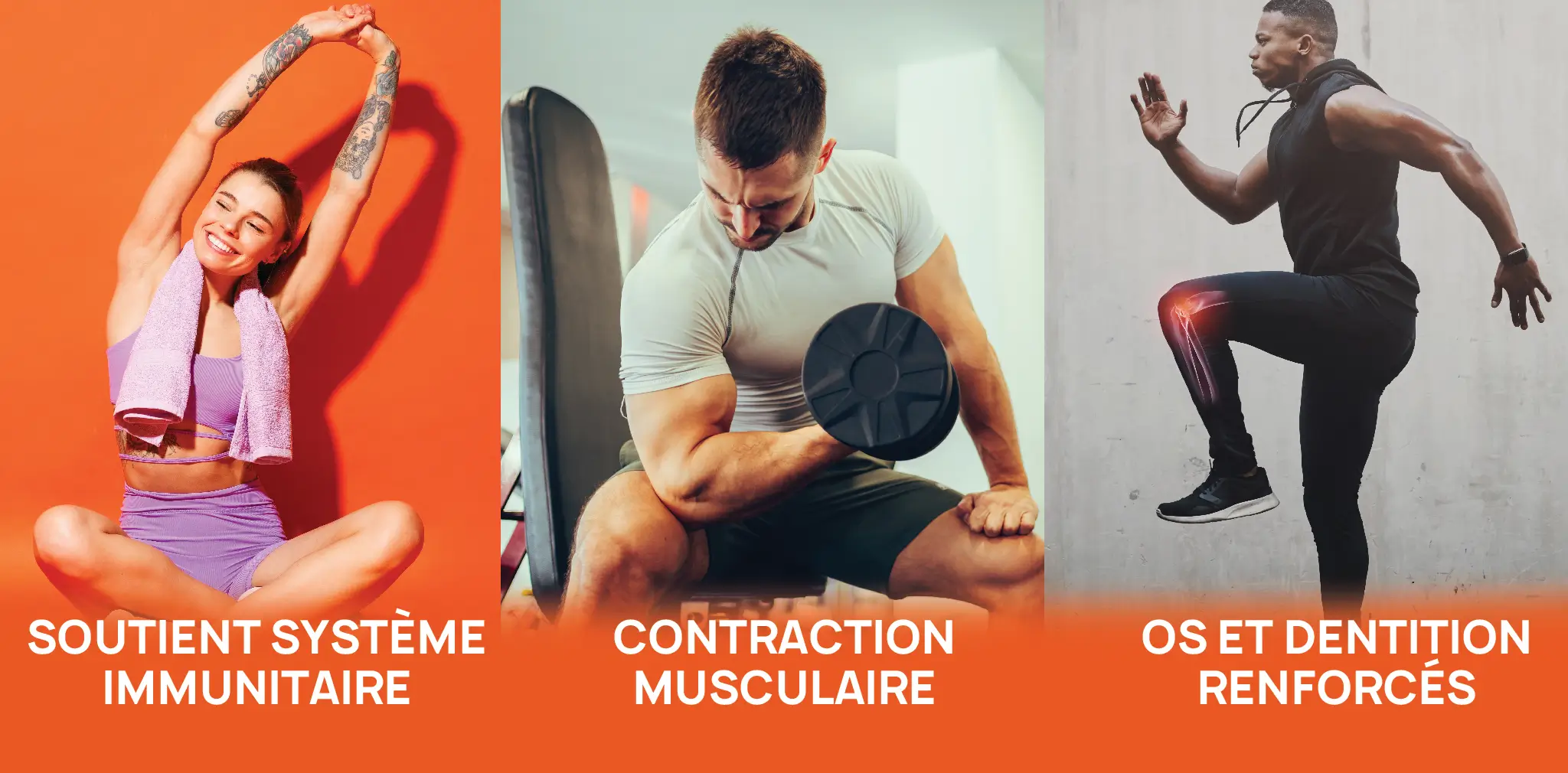 VITAMINES D3K2 ERIC FAVRE