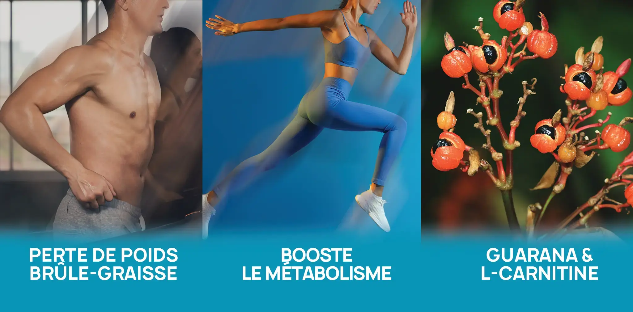 METADHRYNE MOROSIL ERIC FAVRE