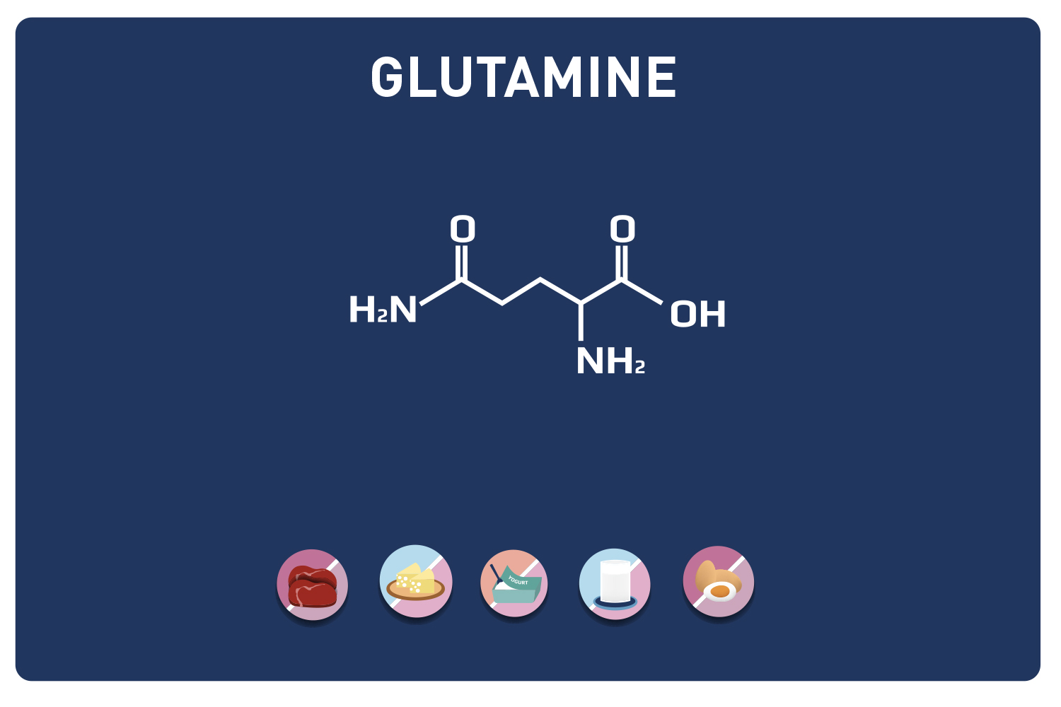 La glutamine - blog eric favre | sport nutrition expert