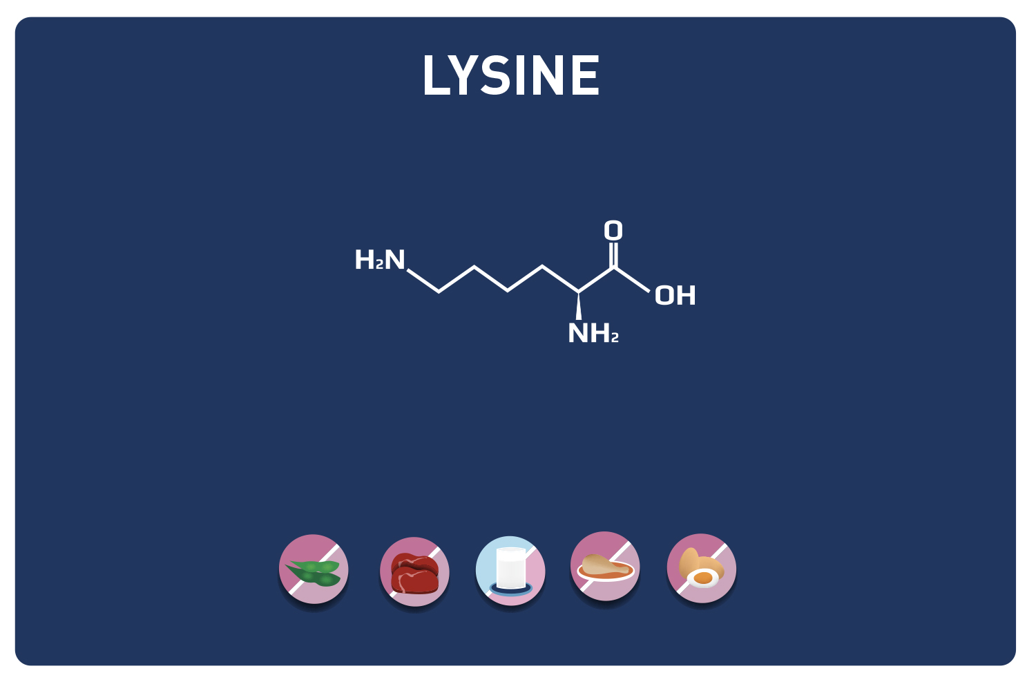 La Lysine Blog Eric Favre Sport Nutrition Expert