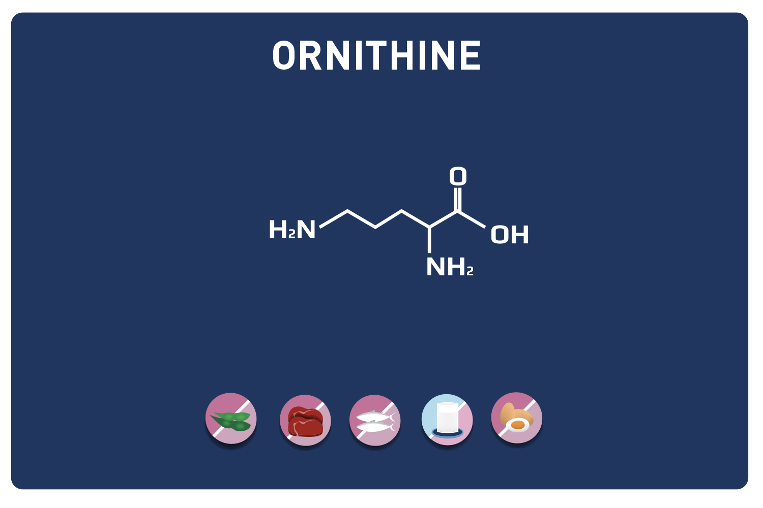 L'Ornithine Blog Eric Favre Sport Nutrition Expert